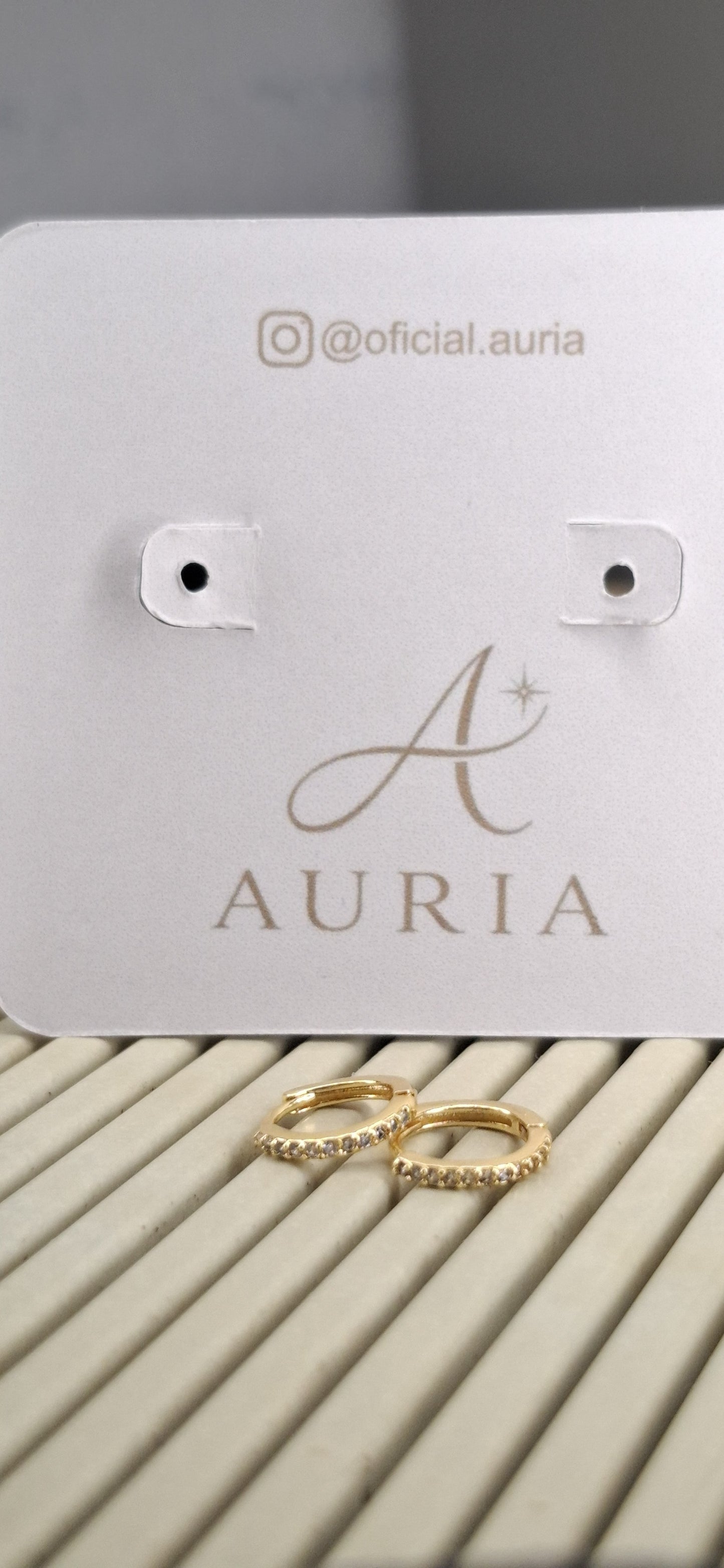 Argola "Vitta Classic"- Banhada a Ouro 18k