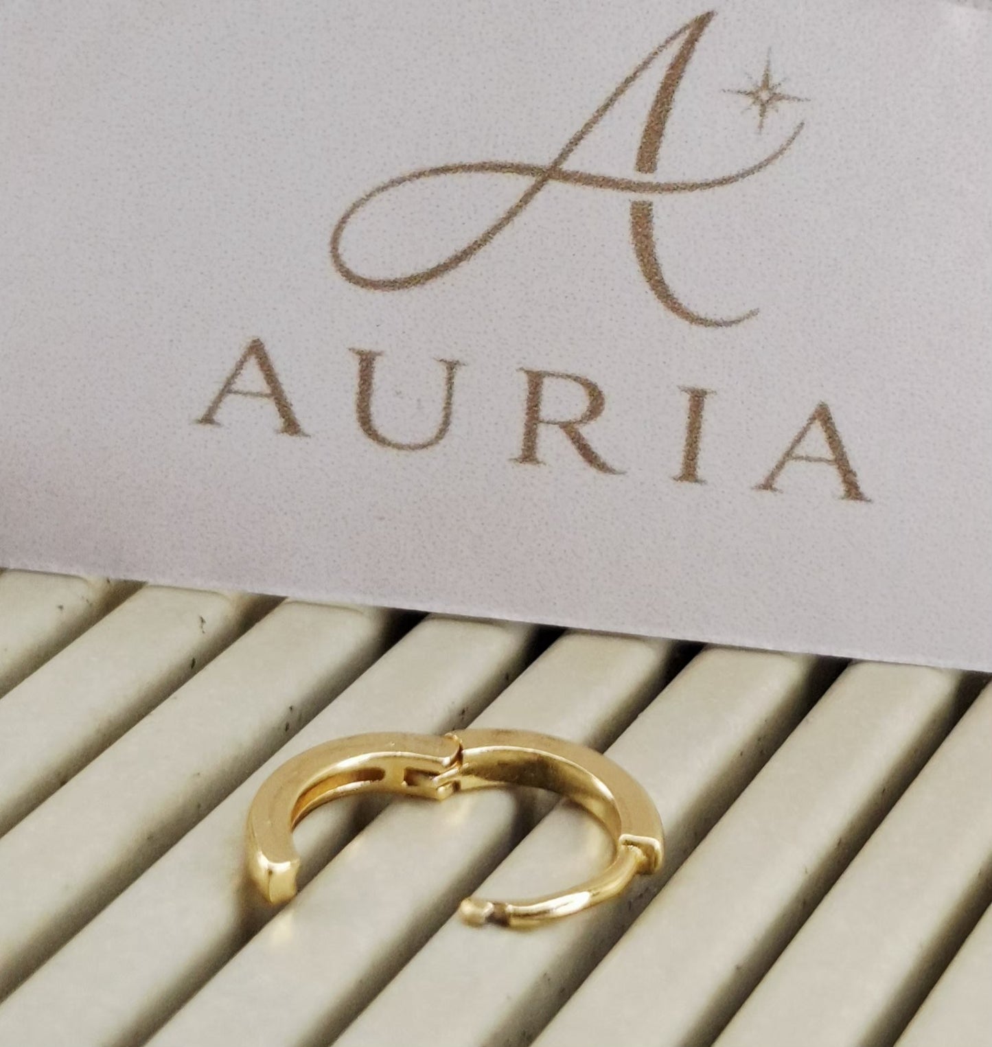 Argola "Vitta Basic"- Banhada a Ouro 18k