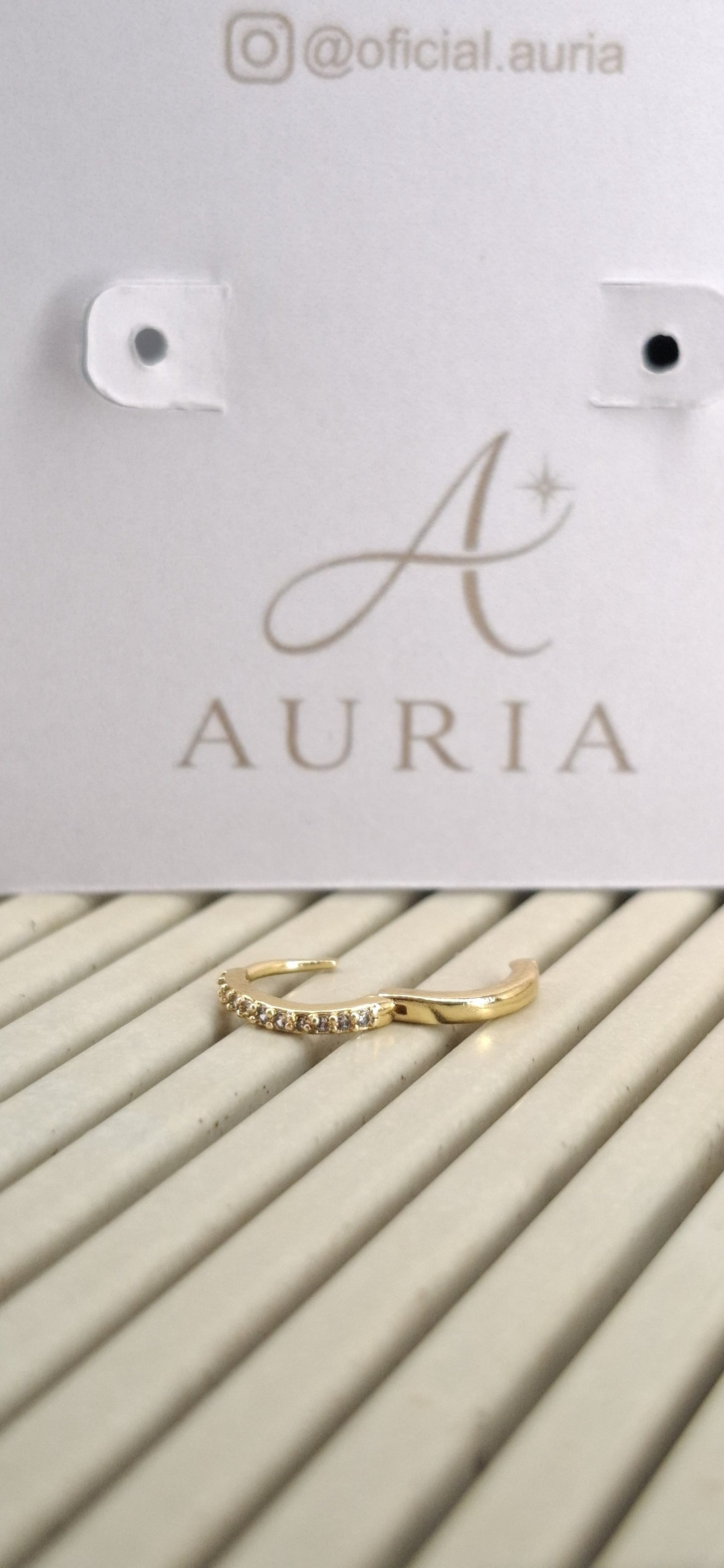 Argola "Vitta Classic"- Banhada a Ouro 18k